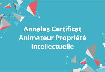Annales Certificat Animateur Propriété Intellectuelle 