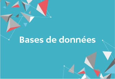 Vignette-base de données