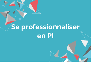 Vignette-Se professionnaliser en PI