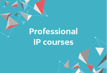 Thumbnail-Professionalizing in IP