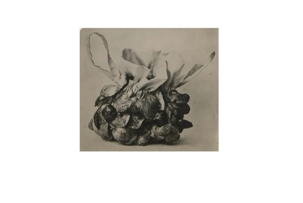 Modèle déposé le 4 mai 1922 par Mme Lambert, née Jane Bertrand pour un "Sac à main pour dame recouvert de coquillages de nacre"