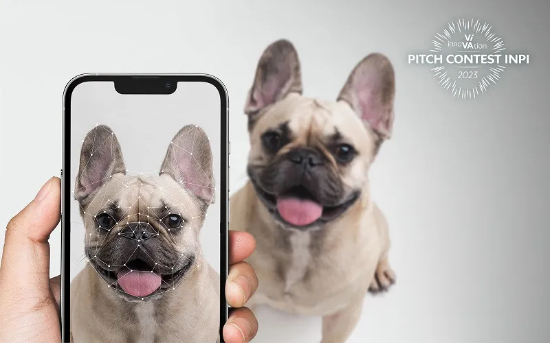 Illustration de l'application